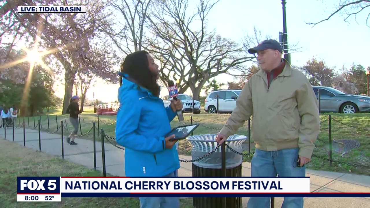 Cherry Blossom Festival kicks off Sunday